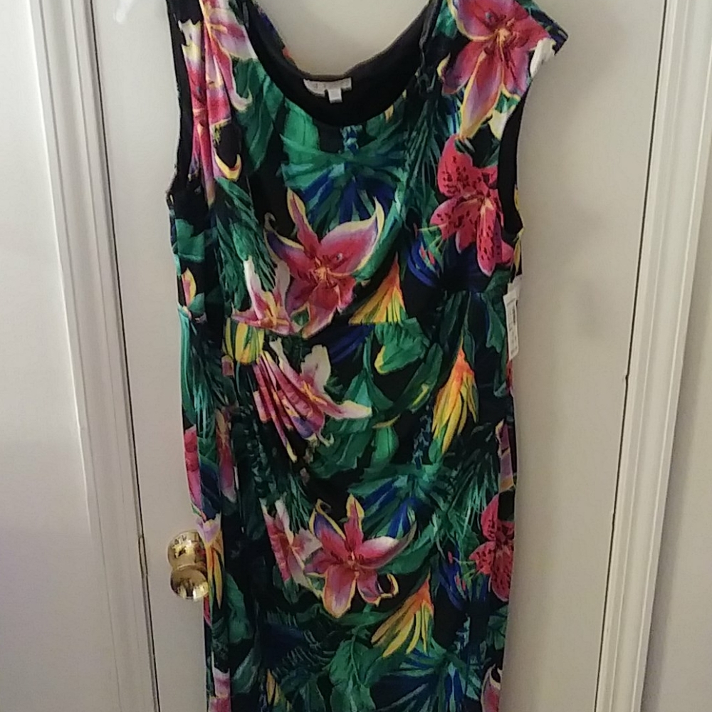 NWT Dress Barn Floral Print Dress
